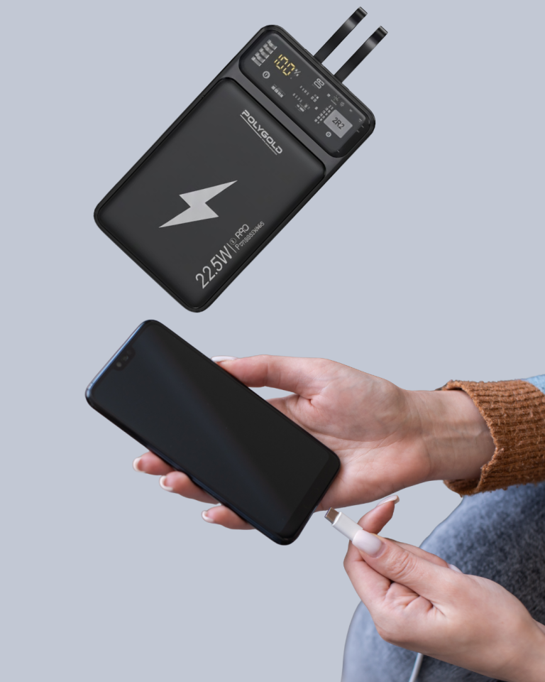 Powerbank Dahili Ekranlı 10000 mAh Çift Kablolu